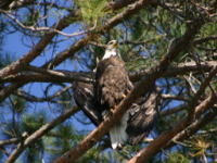 img_5042.jpg